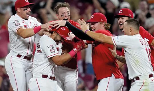 MLB Betting Consensus Cincinnati Reds vs St. Louis Cardinals | Top Stories by handicapperchic.com